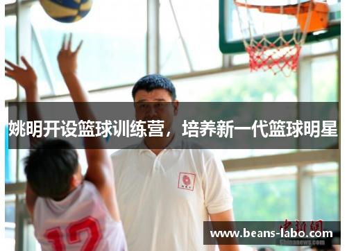 姚明开设篮球训练营，培养新一代篮球明星